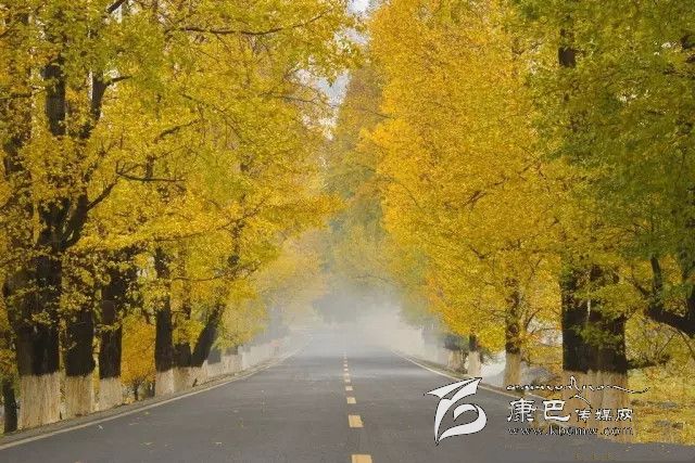 康定新都橋，有一條黃金大道通往夢中的天堂