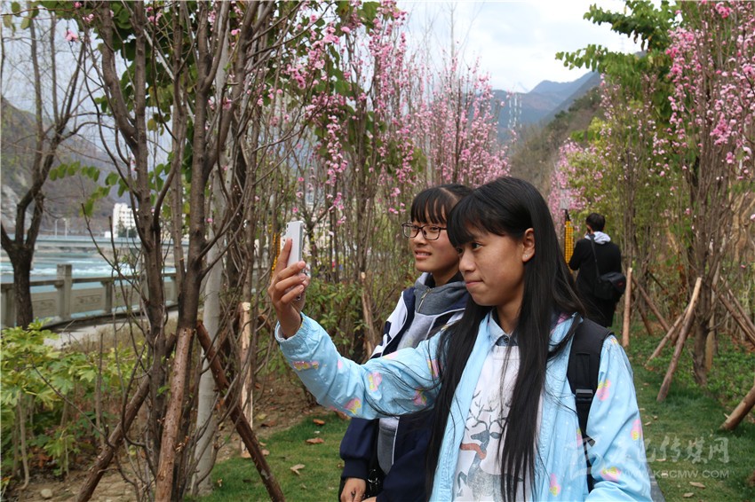 春光俏！“醉”是瀘定春三月，踏青賞花正當(dāng)時