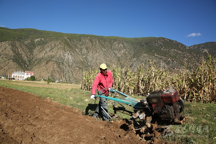 田園藏鄉(xiāng)美如畫，百姓脫貧喜在心