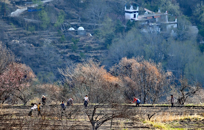 鉚足“?！眲鸥髅? onload=