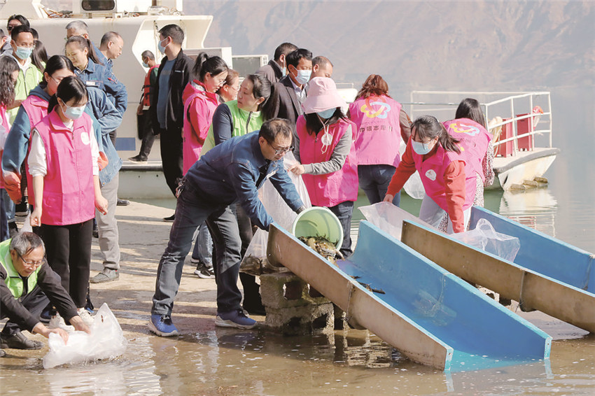 圖為增殖.jpg 圖為增殖.jpg