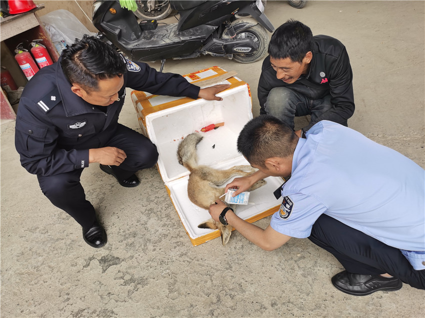 圖為救助.jpg 圖為救助.jpg