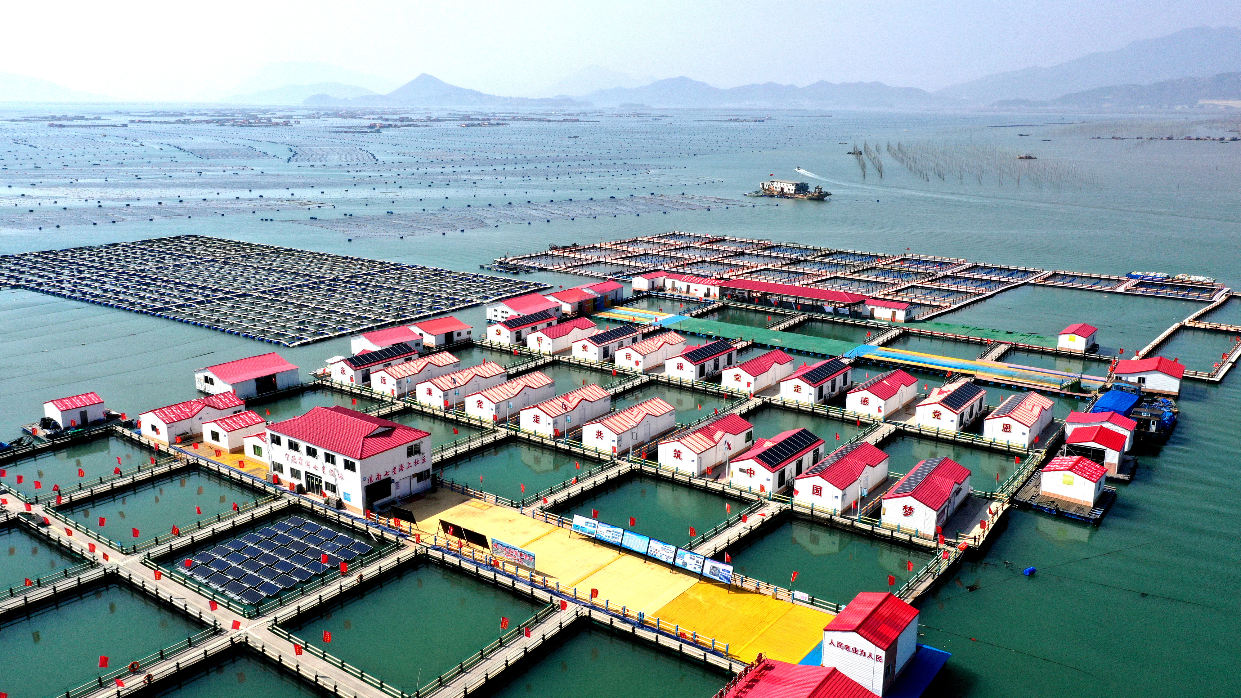 2024年3月20日，福建省寧德市，霞浦縣溪南鎮(zhèn)七星村漁排養(yǎng)殖示范區(qū)，漁民駕駛養(yǎng)殖船進(jìn)行海參養(yǎng)殖作業(yè)。