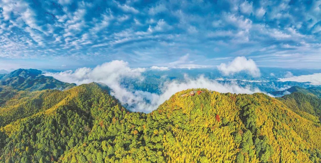 　三明森林生態(tài)環(huán)境優(yōu)美。